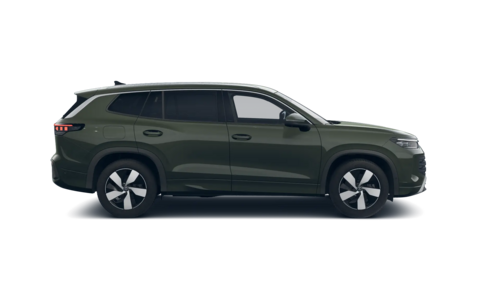 Tayron Life Plus 2026 [object Object]