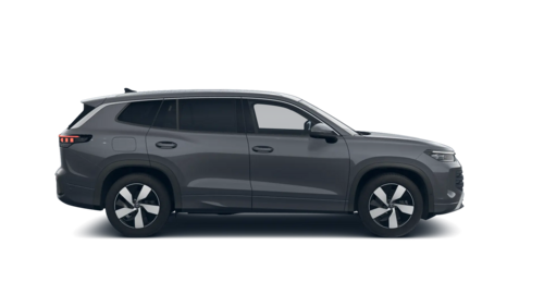 Tayron Life Plus 2026 [object Object]