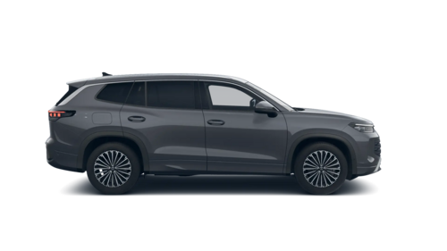 Tayron Life Plus 2025 [object Object]