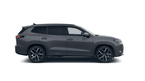 Tayron Elegance 2026 [object Object]