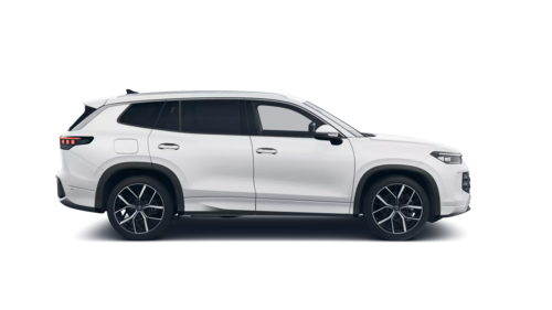 Nowy Tayron Elegance 2025 [object Object]