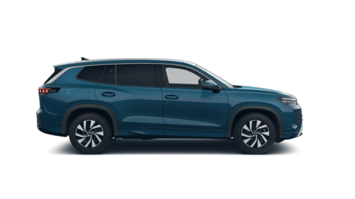 Tayron Life Plus 2026 [object Object]